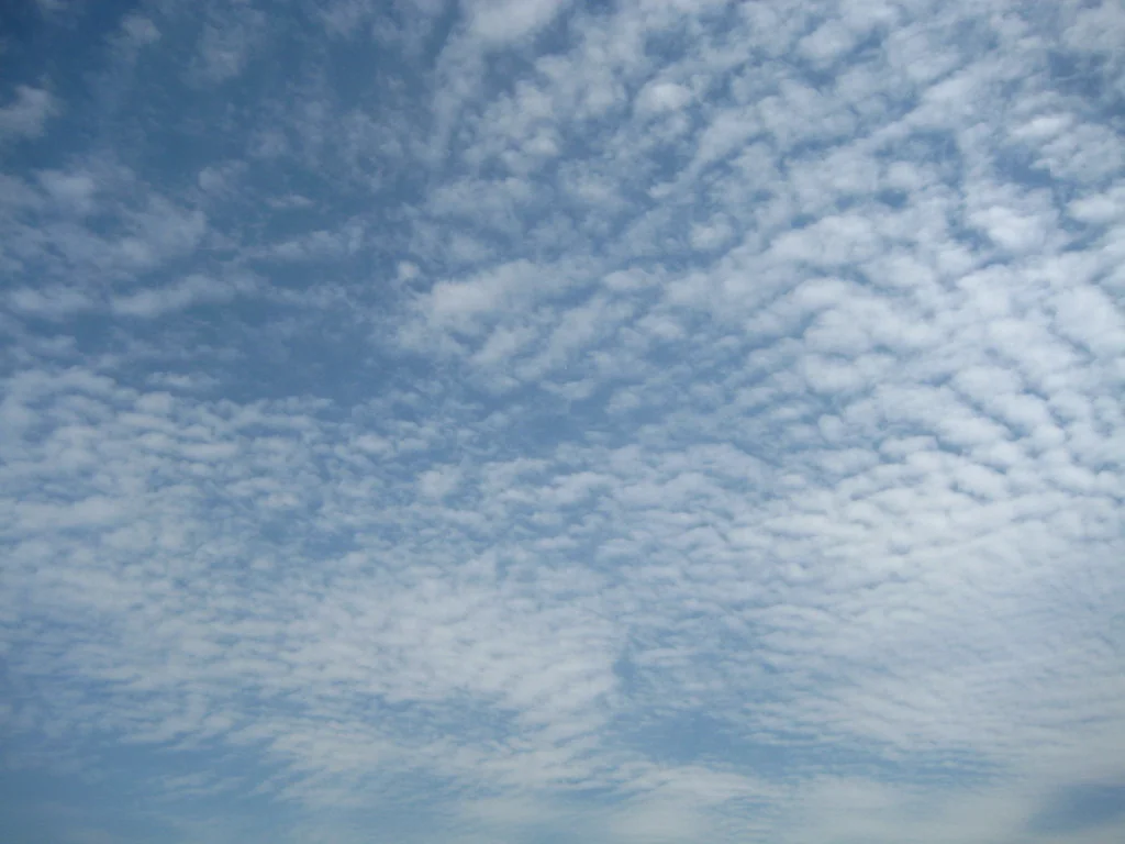 Big Sky