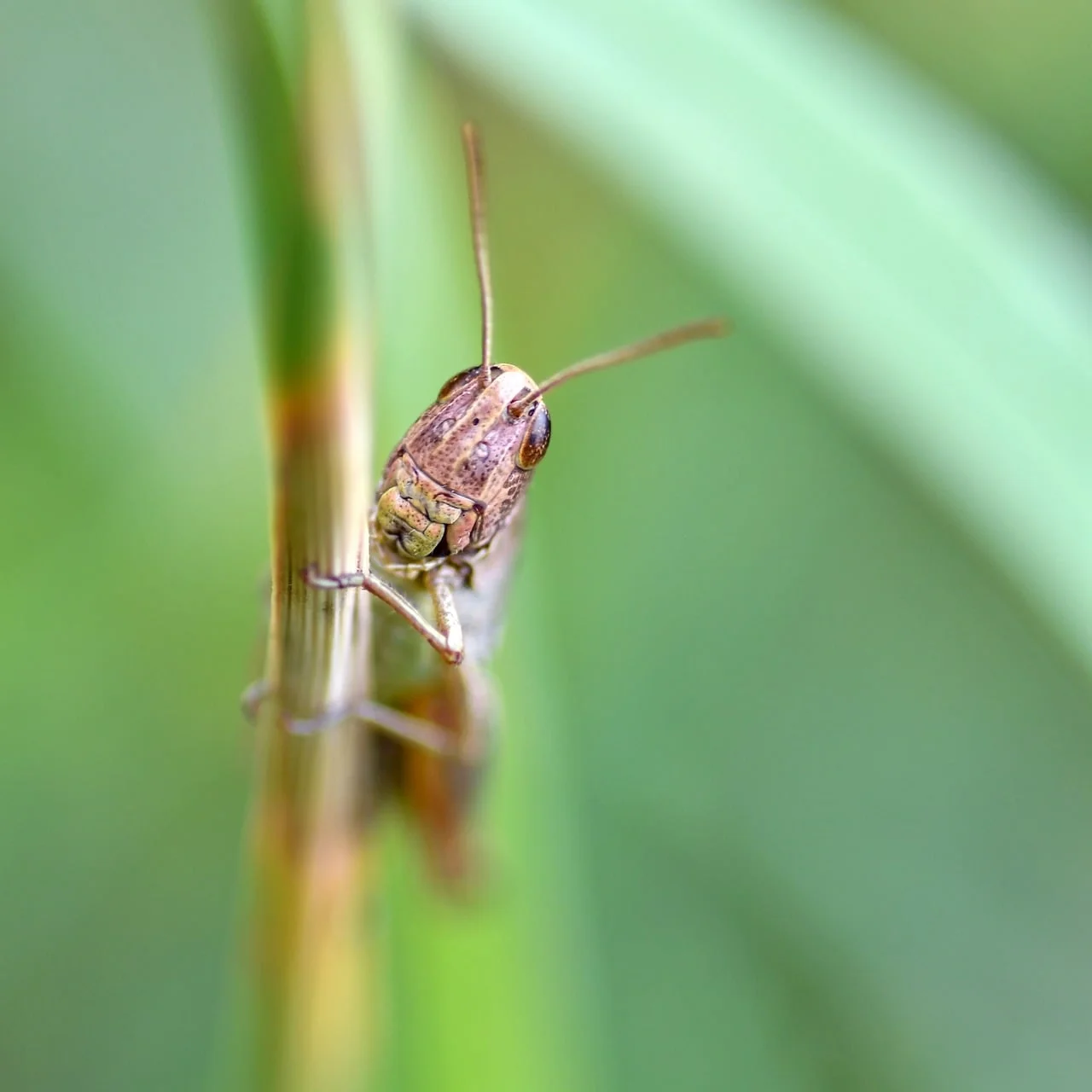 Bokeh Işık 2