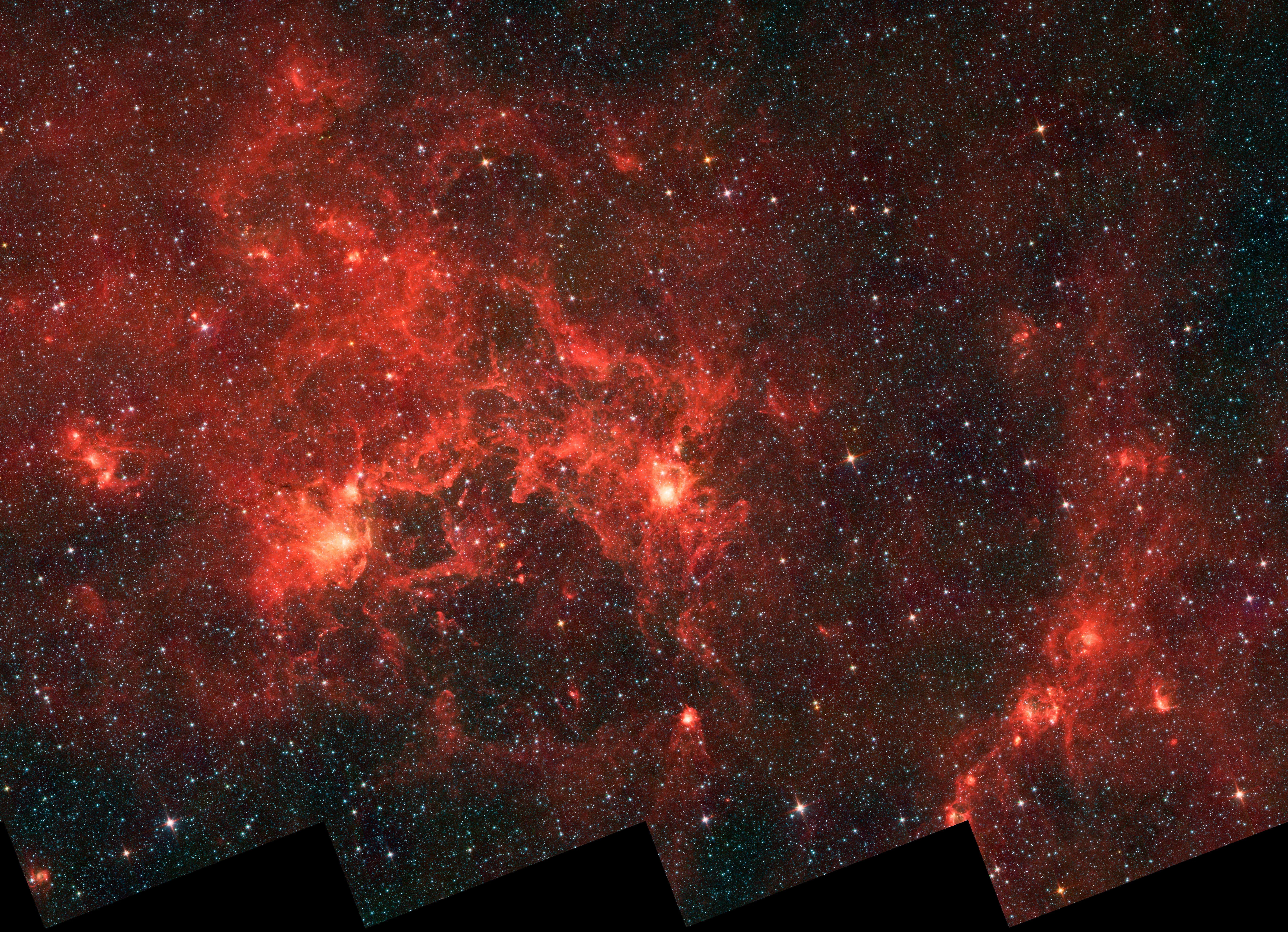 Dragonfish Coming At You in Infrared