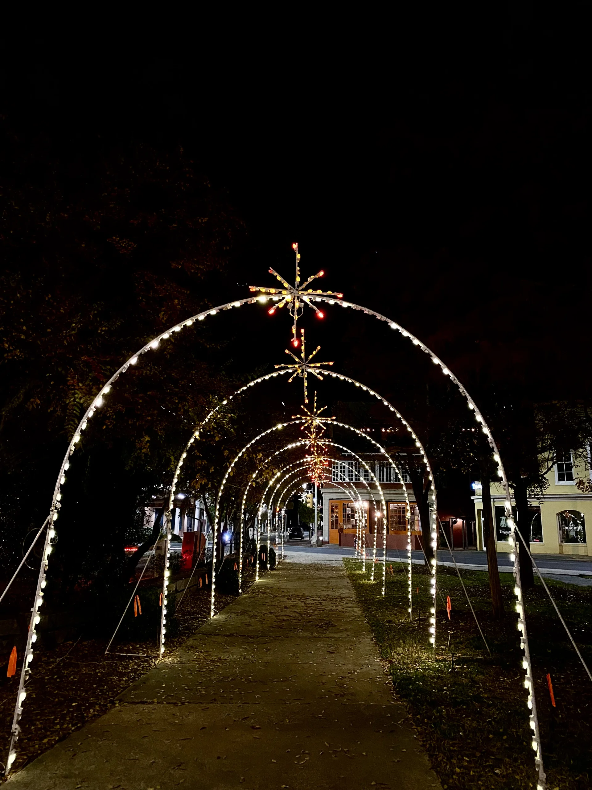 Gece Şehir Işıkları