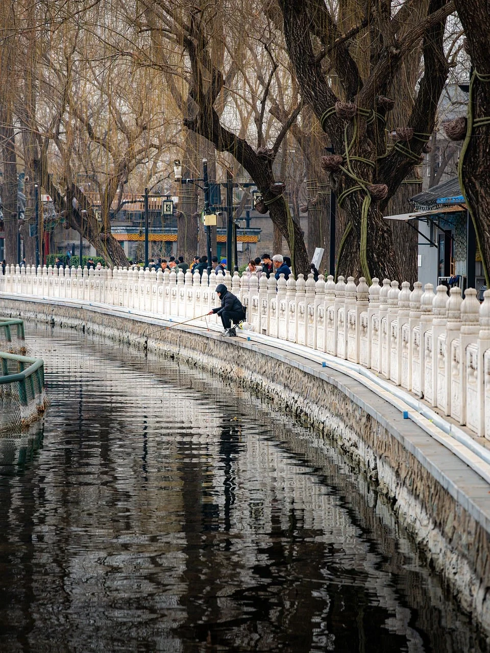 Şehir Hayatı