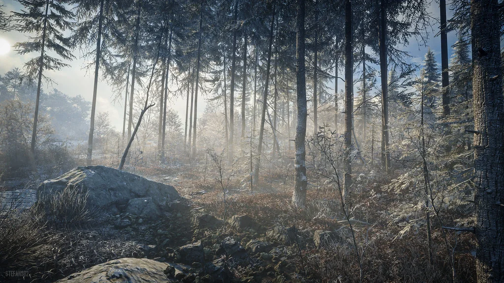 TheHunter: Call of the Wild / Misty Forest