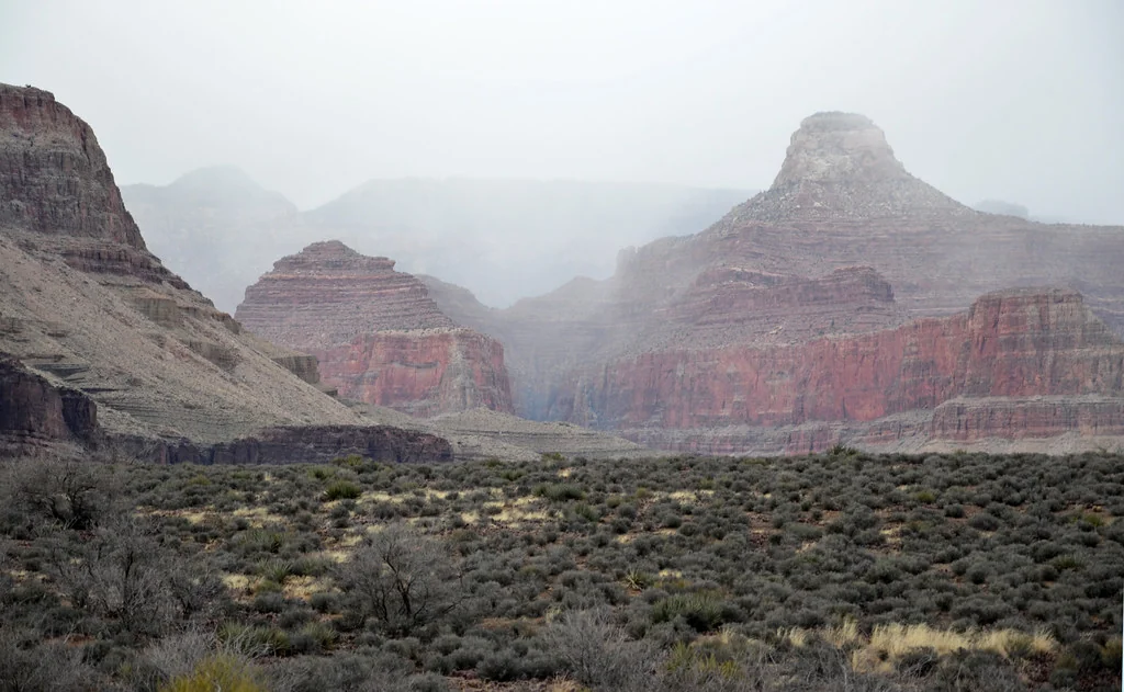 Grand Canyon National Park: Winter Fog From Tonto Platform 2169