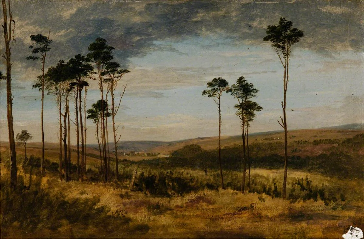 Geyik 5