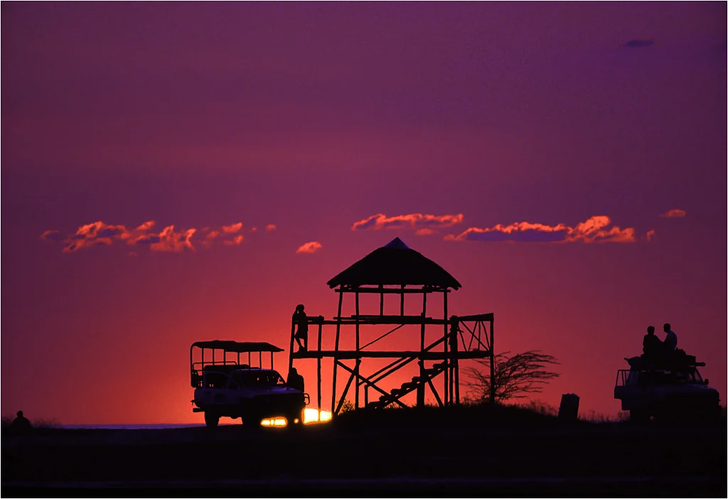 Afrika Safari