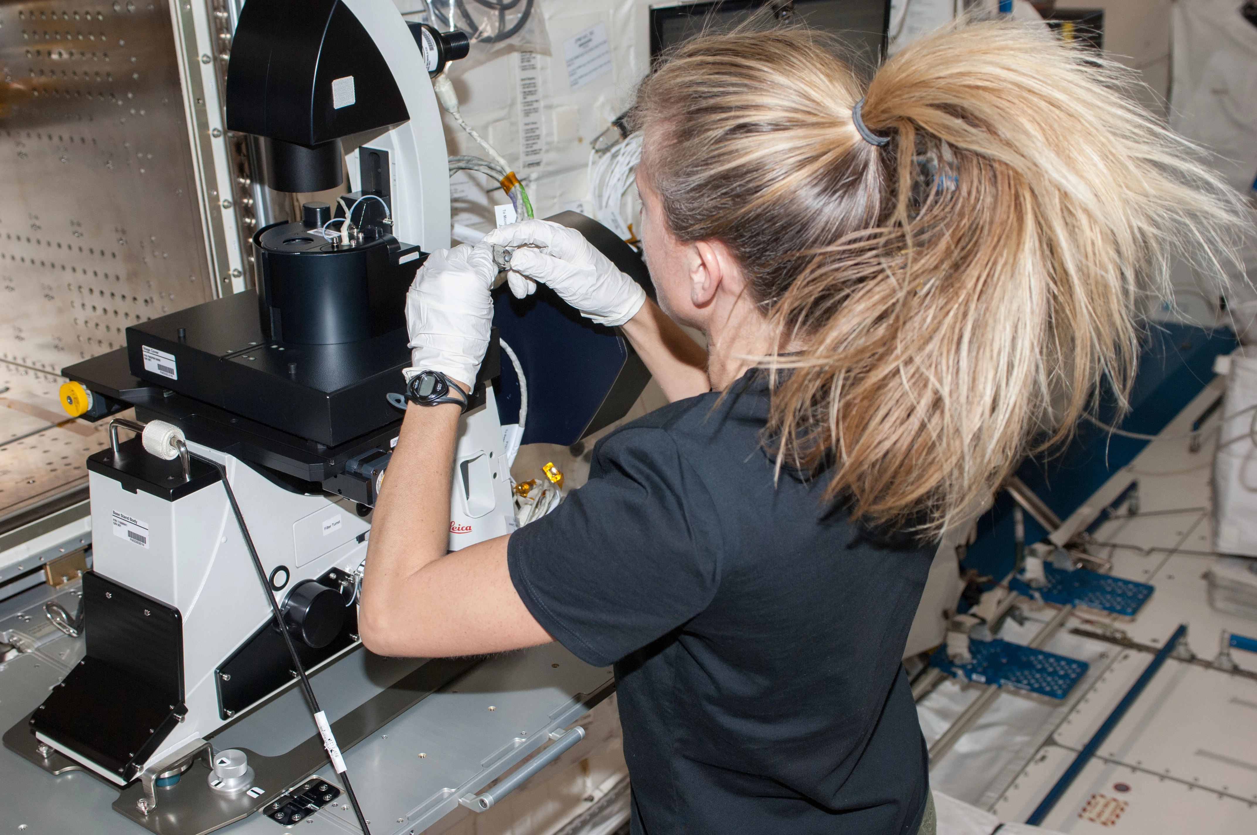 Nyberg in JEM (Kibo) with MSPR fluorescence microscope.