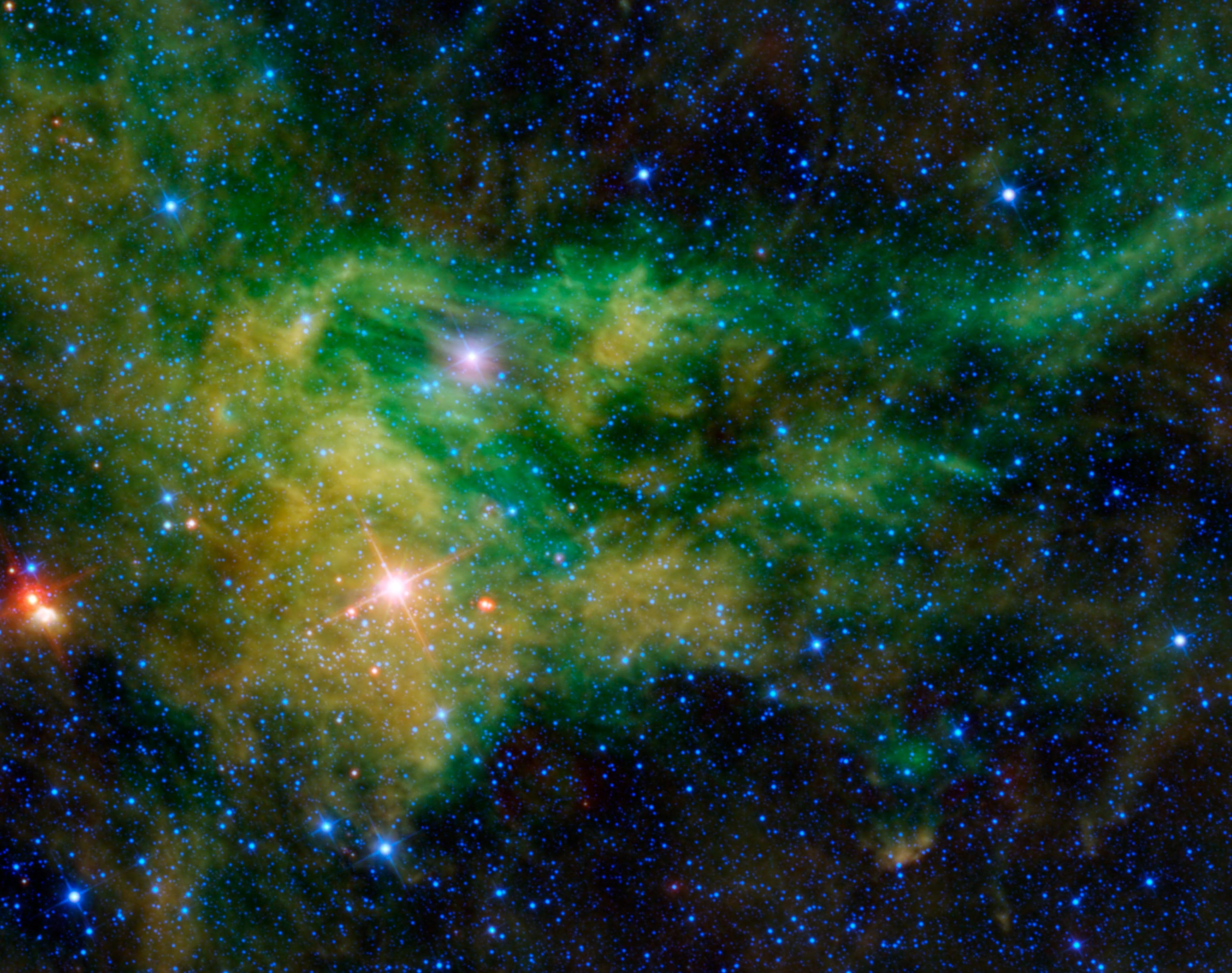 Supergiant Star Near Giraffe Hind Foot