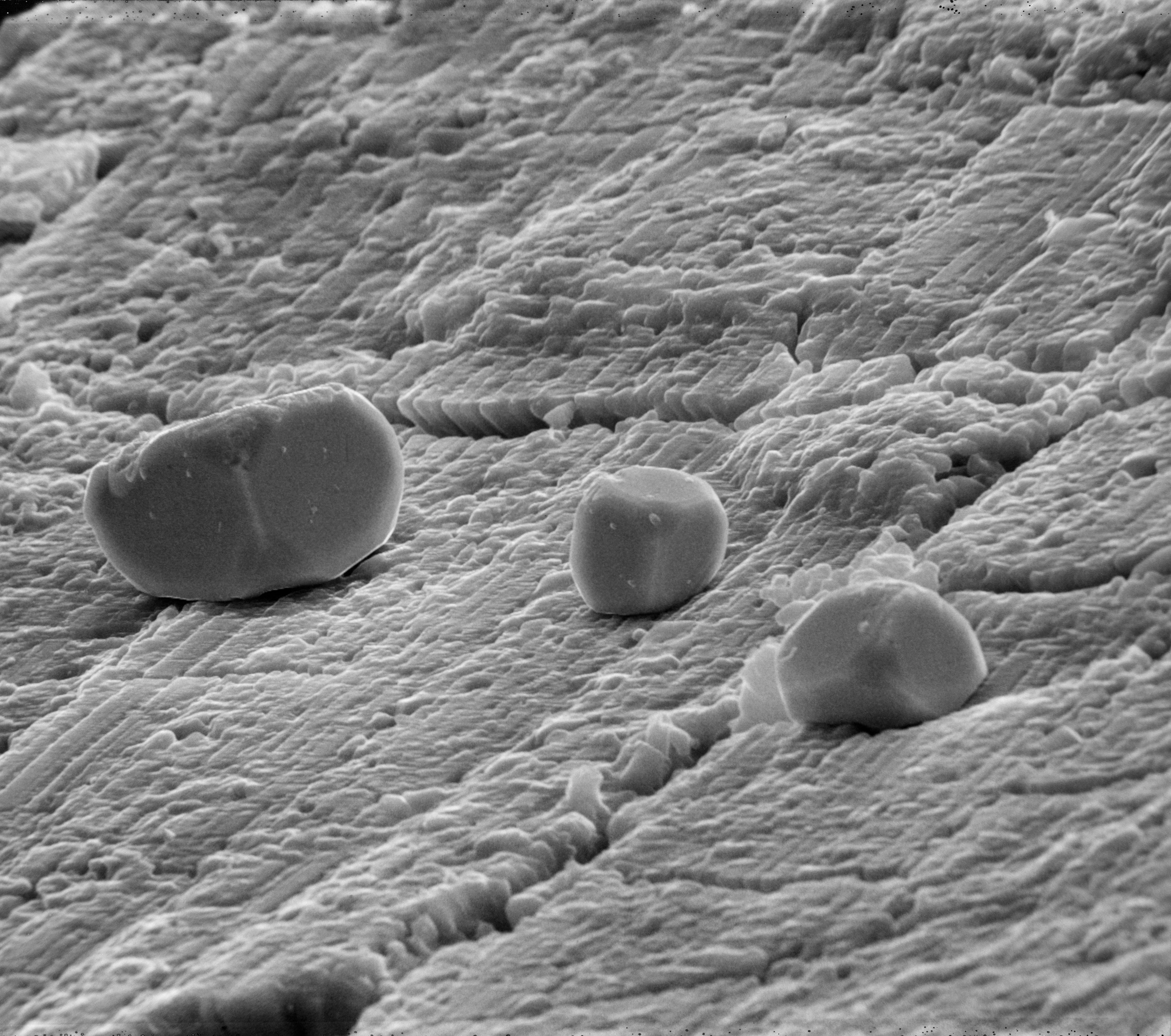 PHOTOMICROPHOTOGRAPHY- GEOLOGY ( SEM)