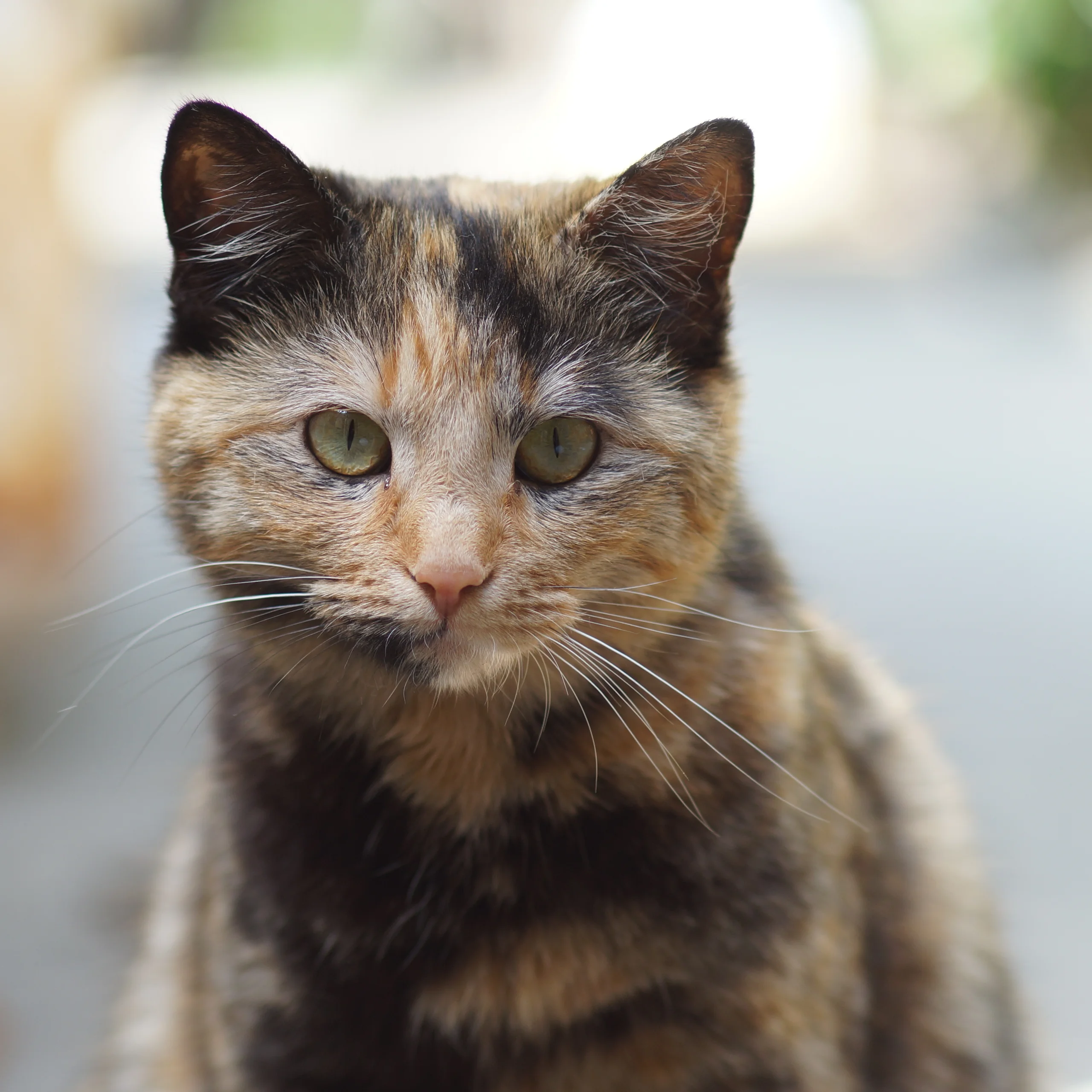 Bokeh Portre 4