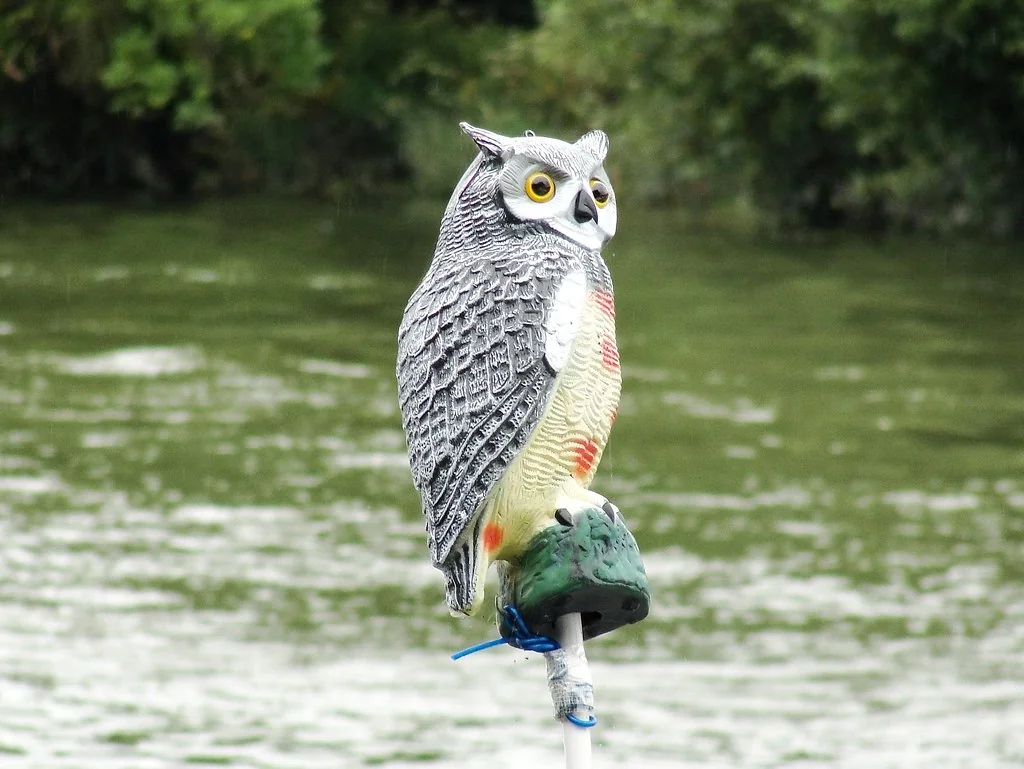 An Owl Bird Scarer