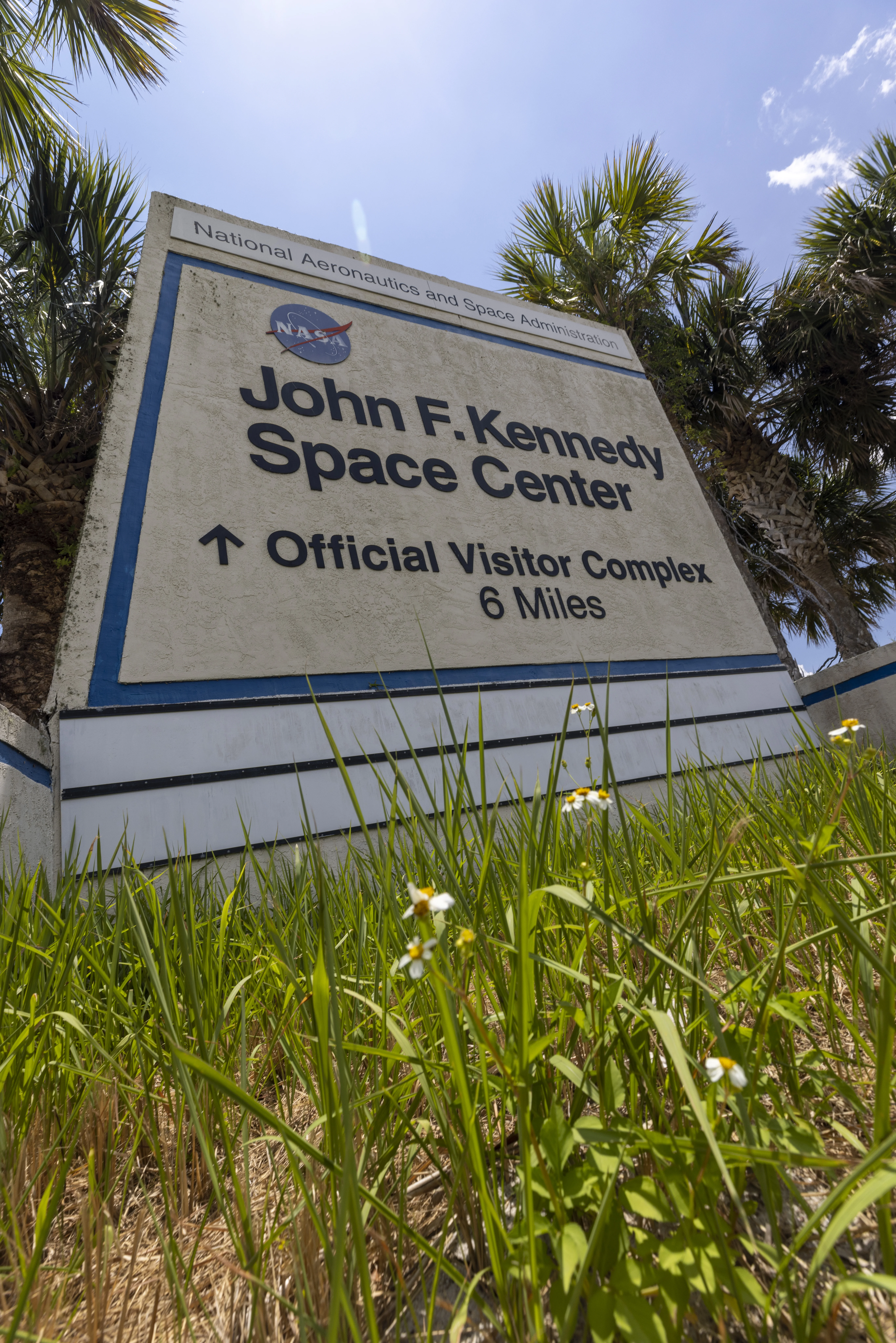 Wildflowers at KSC
