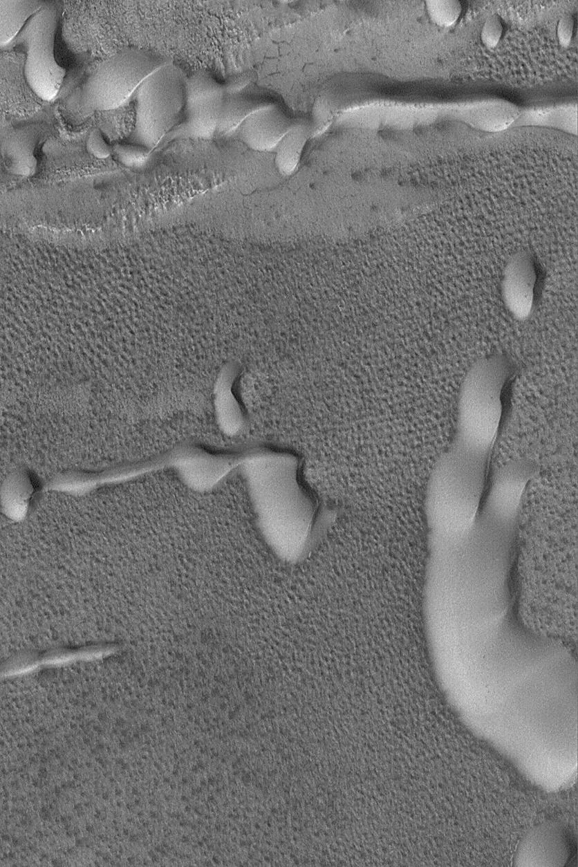 Sand Dunes with Frost