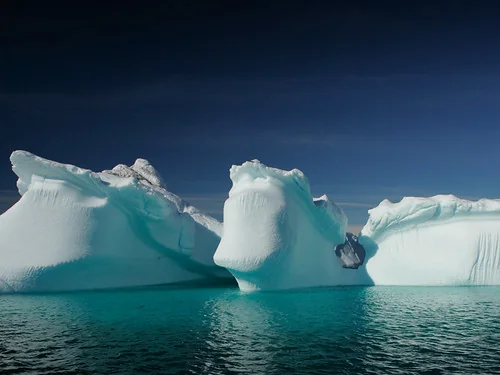Icebergs in Greenland