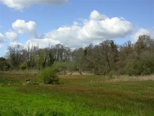 Newbourne Springs Nature Reserve - geograph.org.uk - 161623