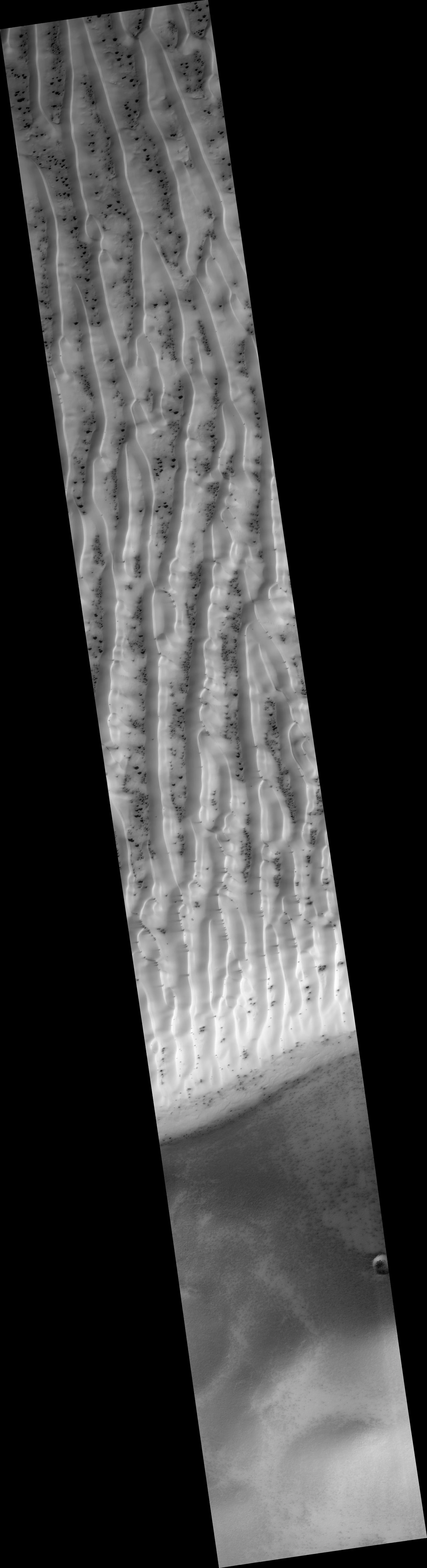 Sand Dune Field in Richardson Crater