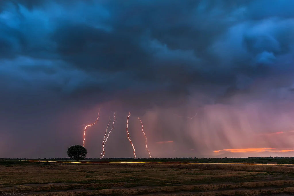 Lightning storm over the tree