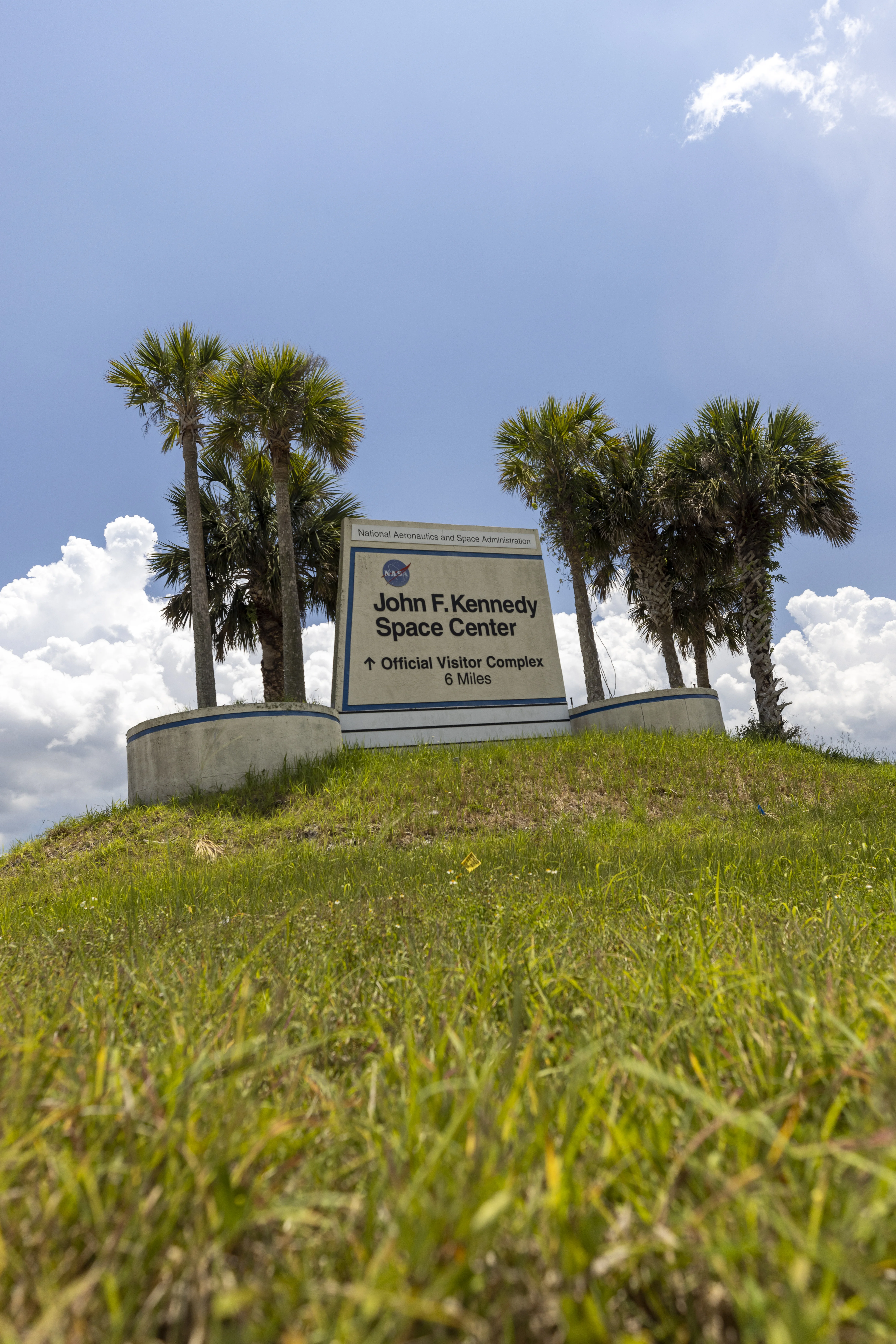 Wildflowers at KSC