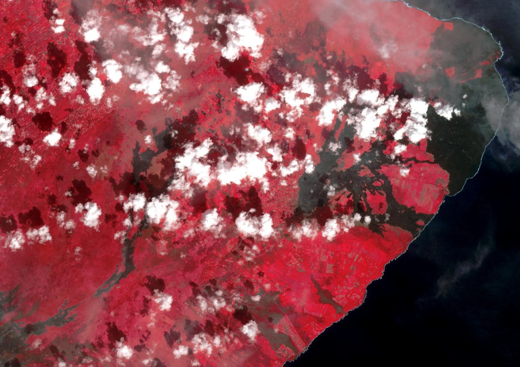 2018 Kilauea East Rift Zone Eruption