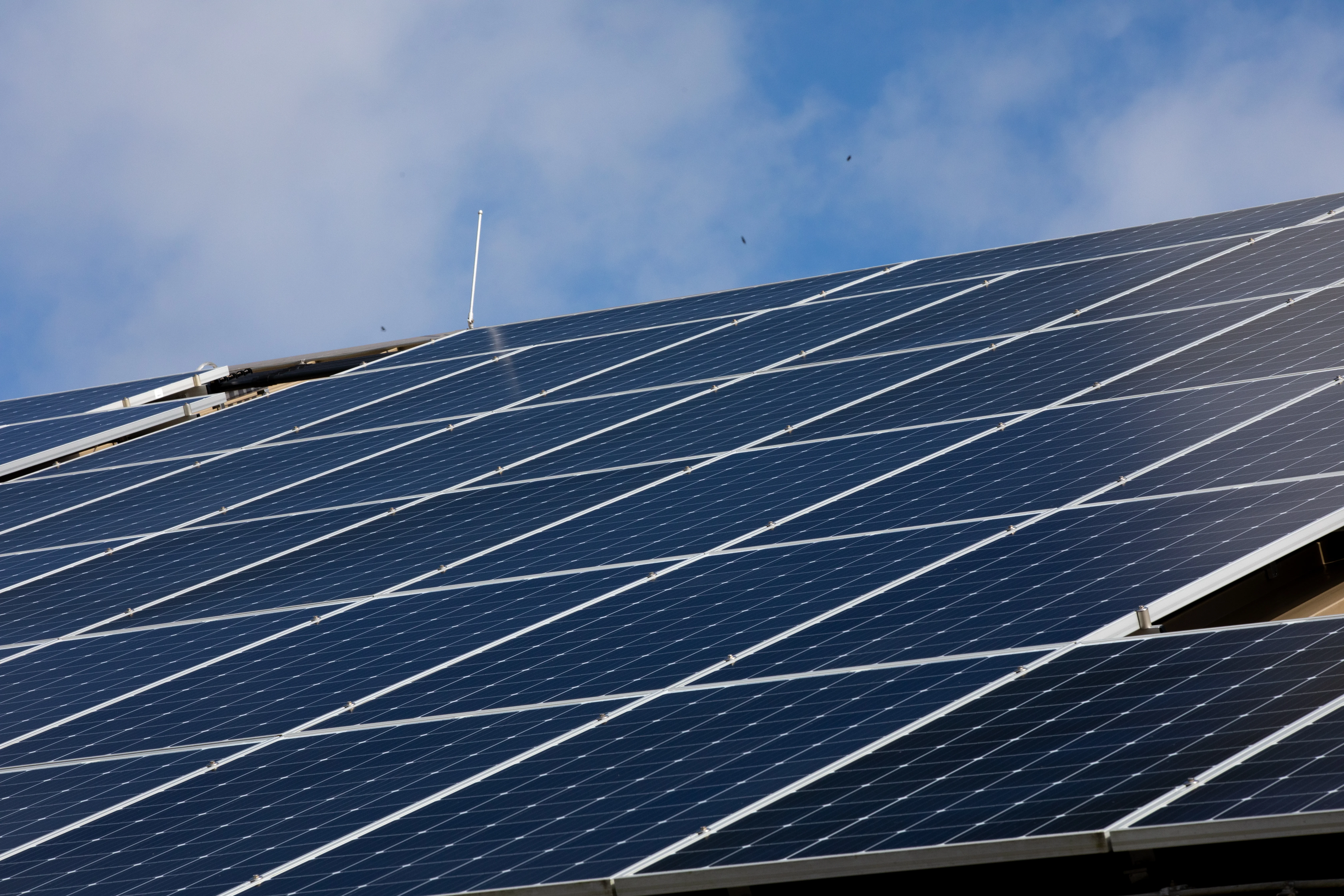 Sustainability - EMF Solar Panels