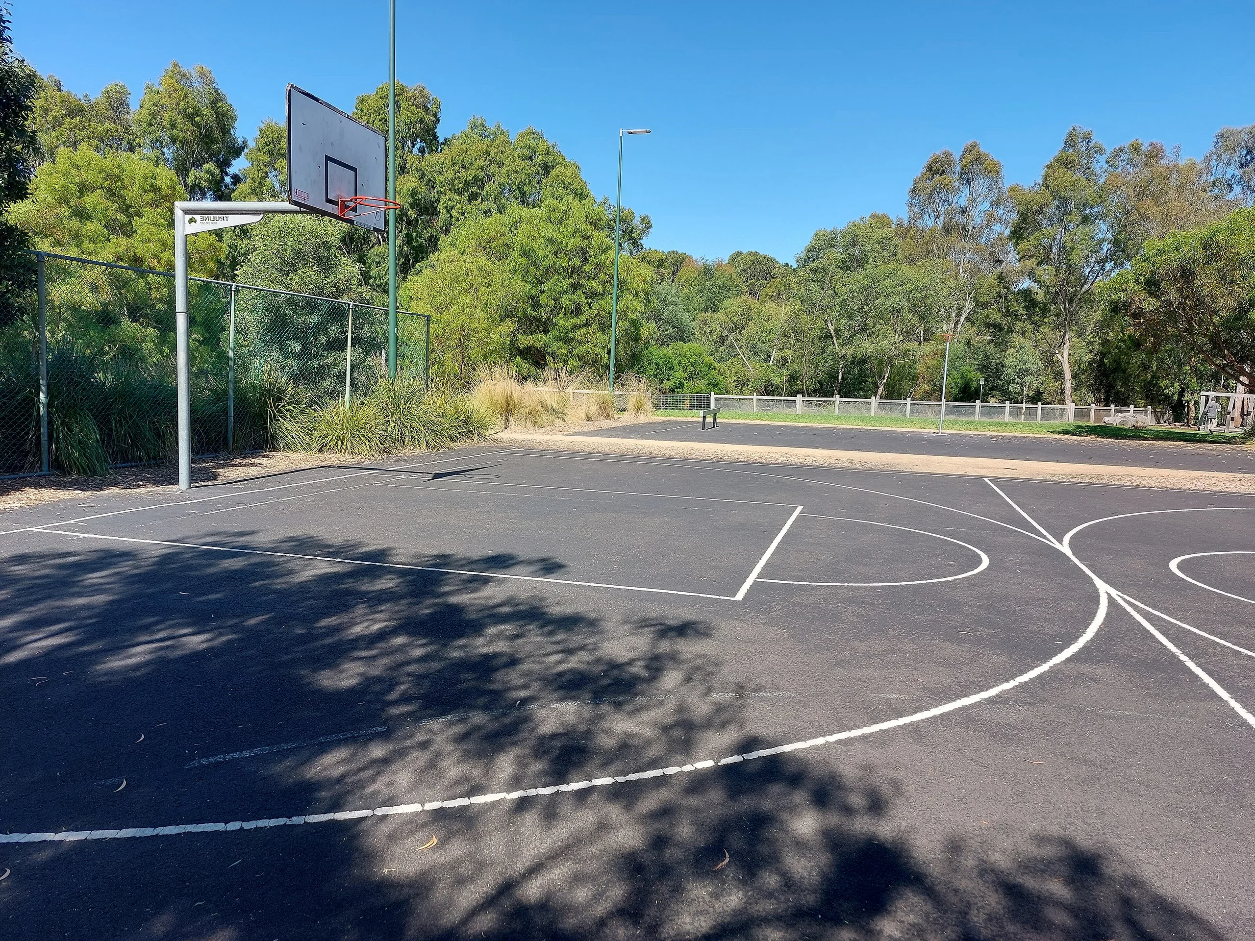 Basketbol 5