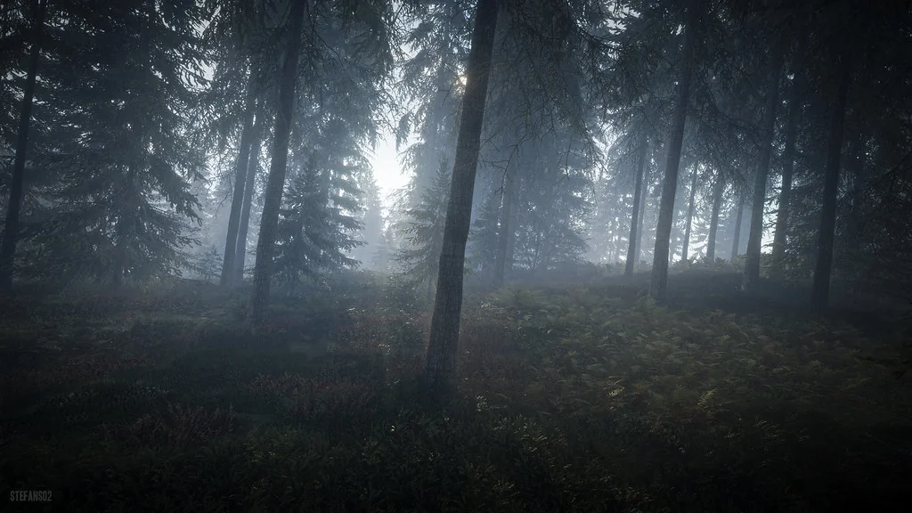 TheHunter: Call of the Wild / Misty Forest