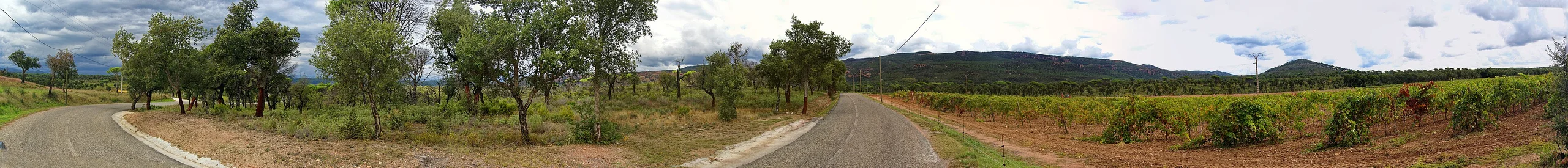 Bağ Bahçe