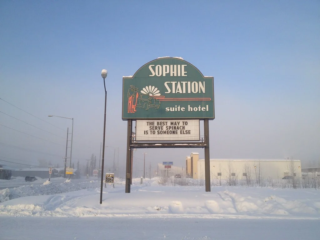 VISIONS: Seeing the Aurora in a New Light